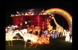 Noahs Ark Noahs Ark